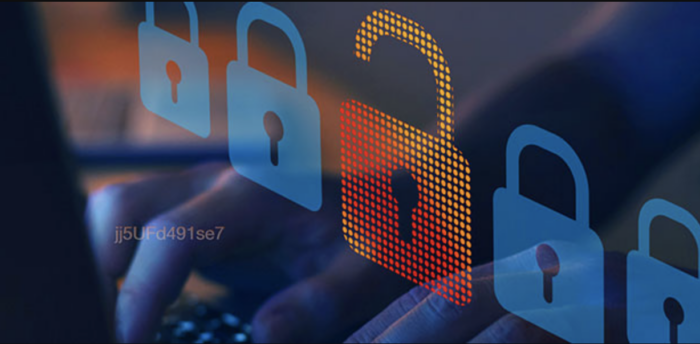 Building a collaborative cybersecurity culture with Gen Z employees